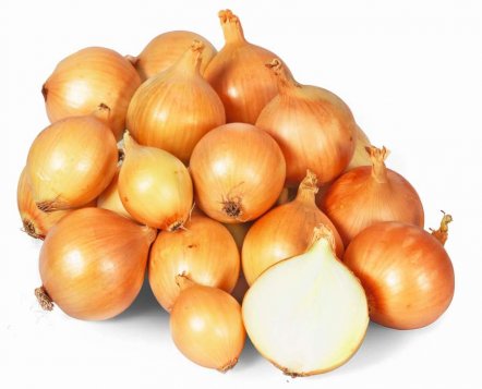 Cibule-kuchynska